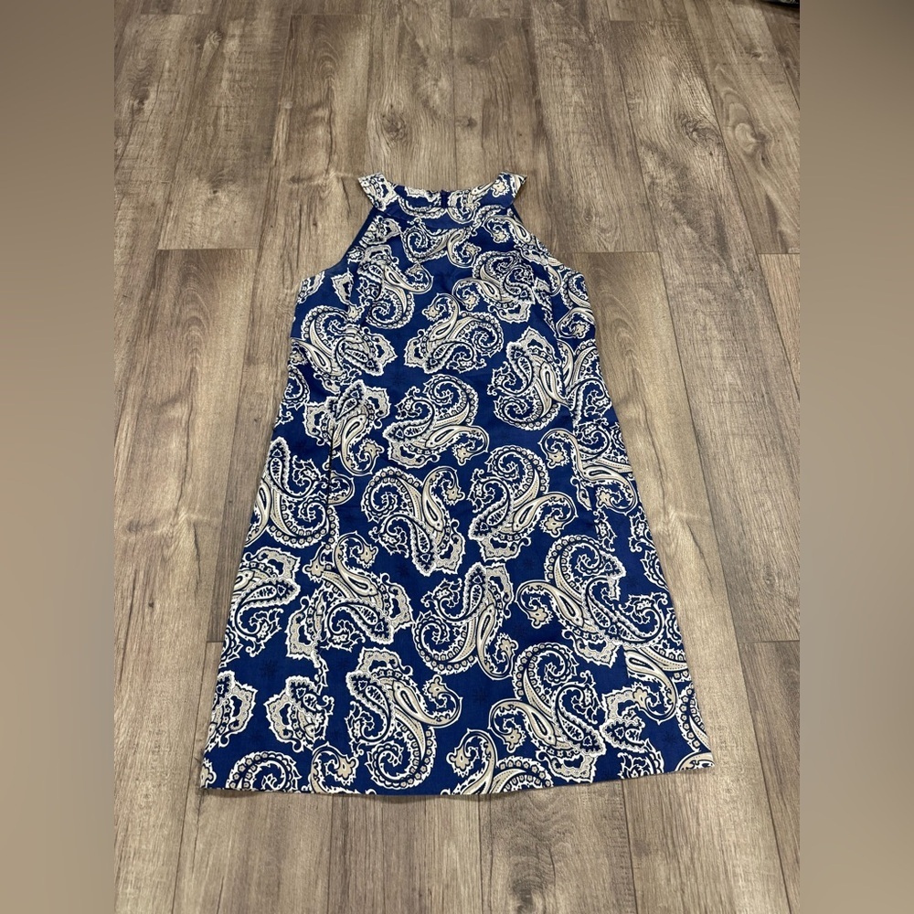 Ann Taylor Loft Blue Paisley Sleeveless Dress Lined Size 10 Casual Office